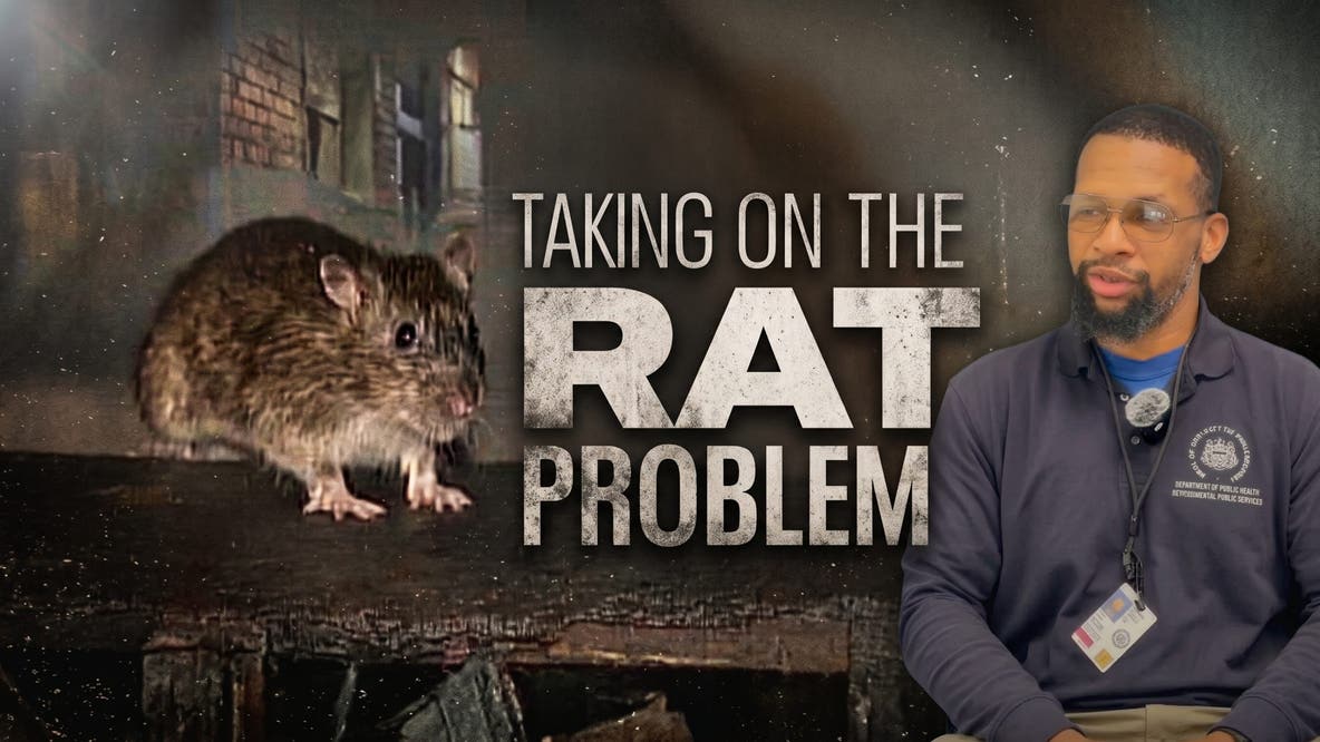 Philadelphia appoints first Rat Abatement Manager, launches response in Northeast