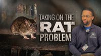 Philadelphia appoints first Rat Abatement Manager, launches response in Northeast