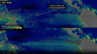 El Niño is making the Pacific Ocean bluer: See the NASA satellite images