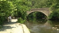 'Do Not Eat' advisory issued for all fish in Philadelphia-area creek