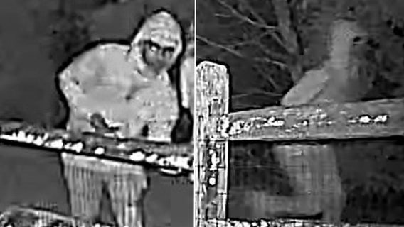 Woman assaulted while walking on West Chester trail, police searching for suspect