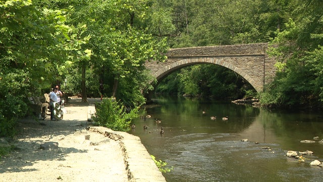'Do Not Eat' advisory issued for all fish in Philadelphia-area creek