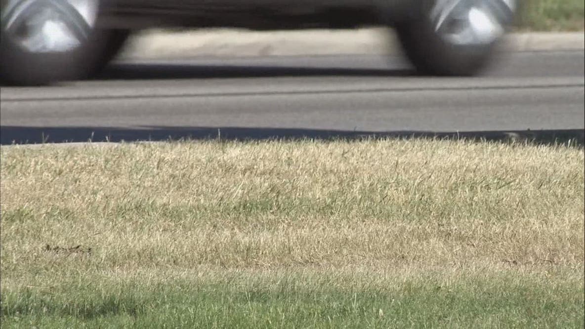 No white Christmas for Detroit: Mostly dry today and tomorrow aside from some drizzle - no snow