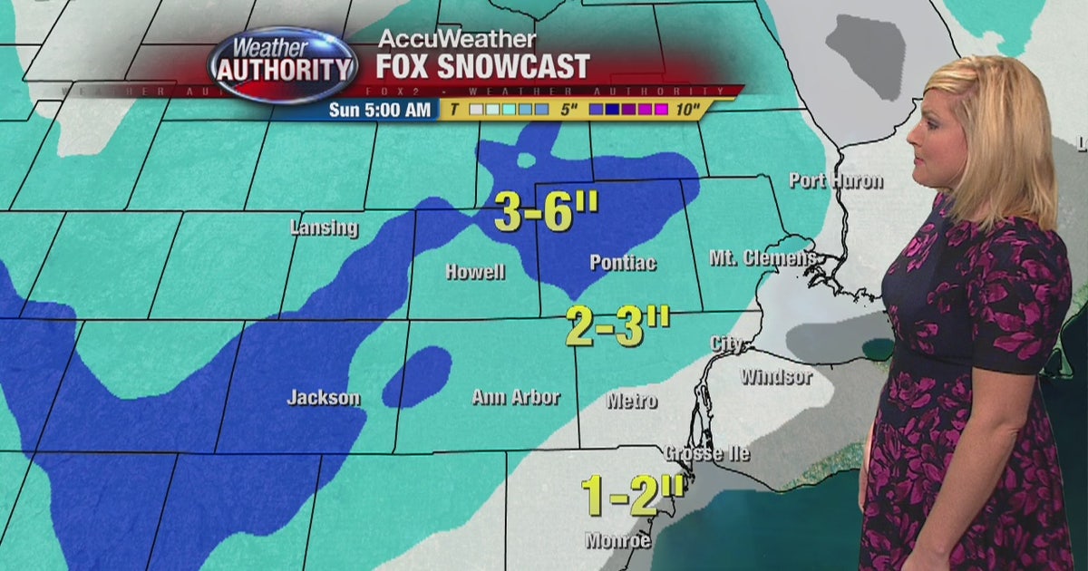 First substantial snow fall expected in metro Detroit Saturday | FOX 2 ...