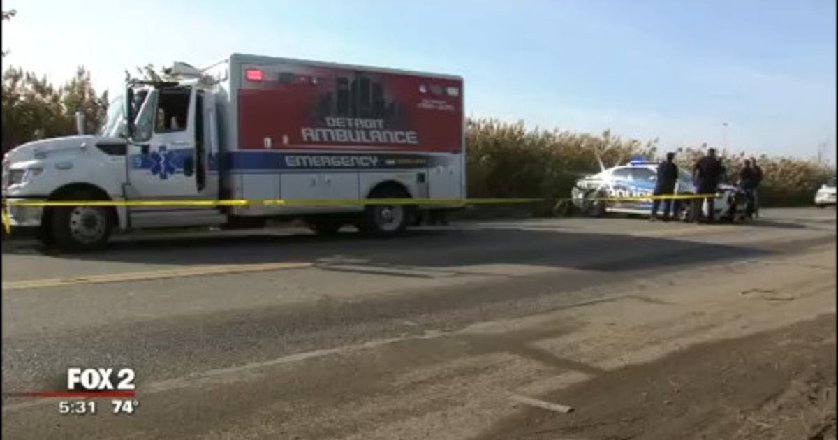 Woman found dead in southwest Detroit field in suspected murder | FOX 2 ...