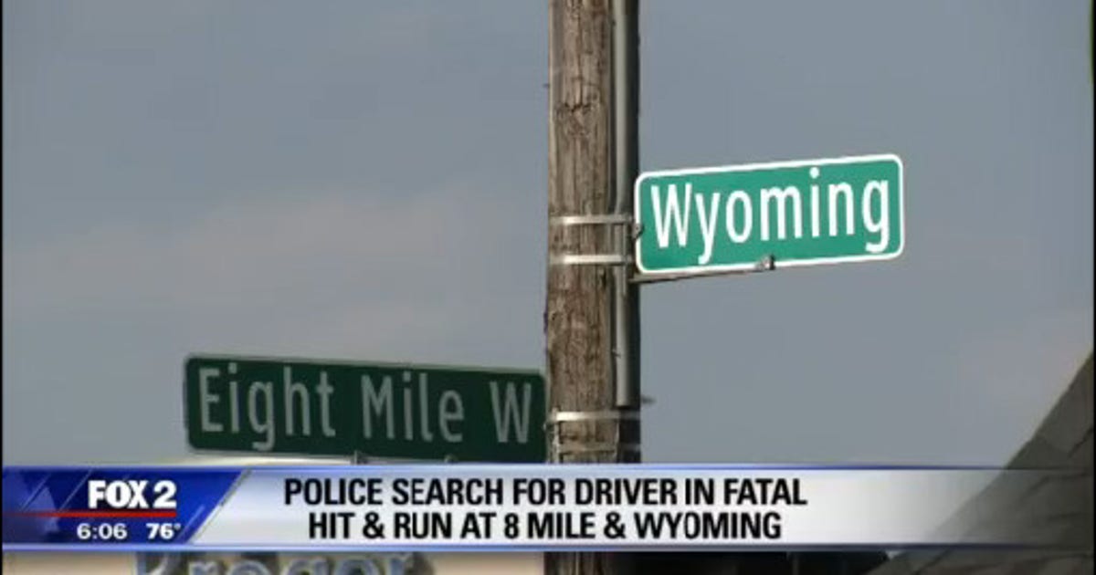 Police search for driver in fatal hit & run at 8 Mile and Wyoming | FOX ...