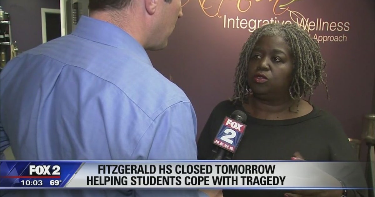 Clinical therapist weighs in on Fitzgerald High School stabbing FOX 2