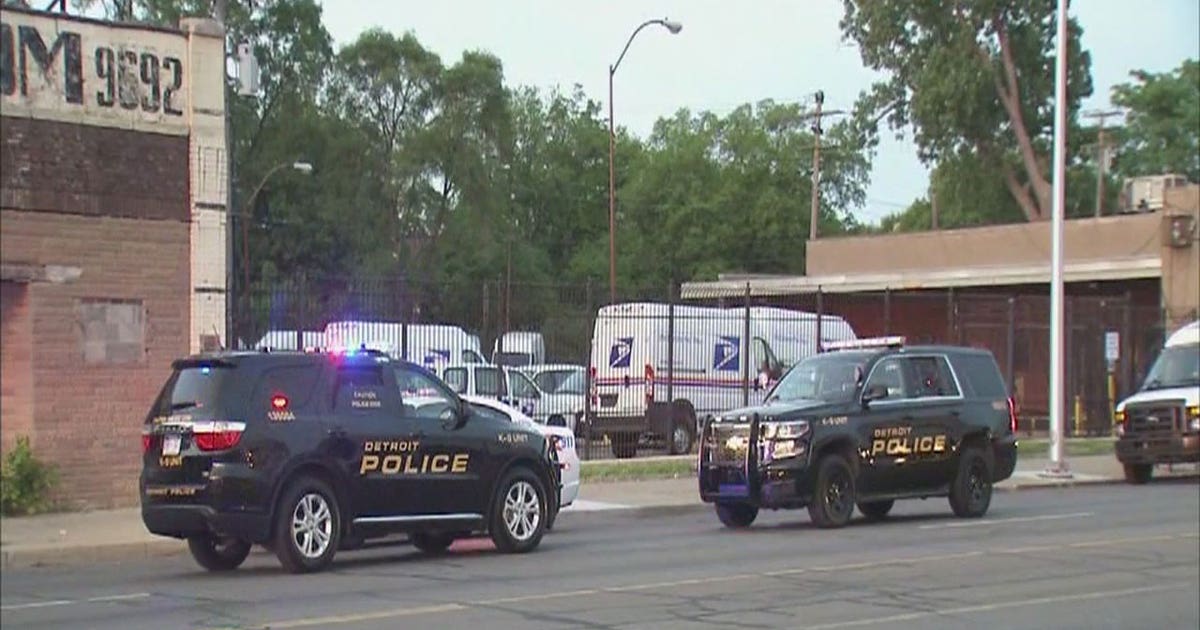 Woman dies after stabbing attack on Detroit's west side | FOX 2 Detroit