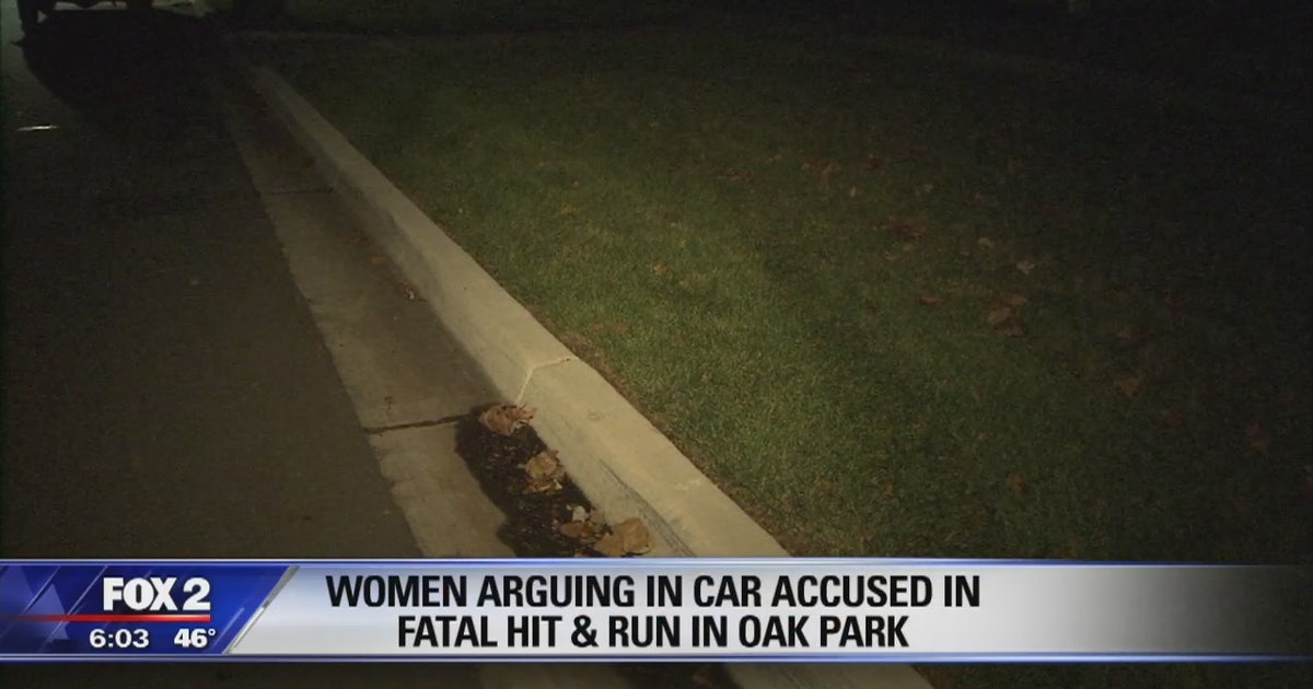 Woman arguing in car accused of hit and run in Oak Park | FOX 2 Detroit