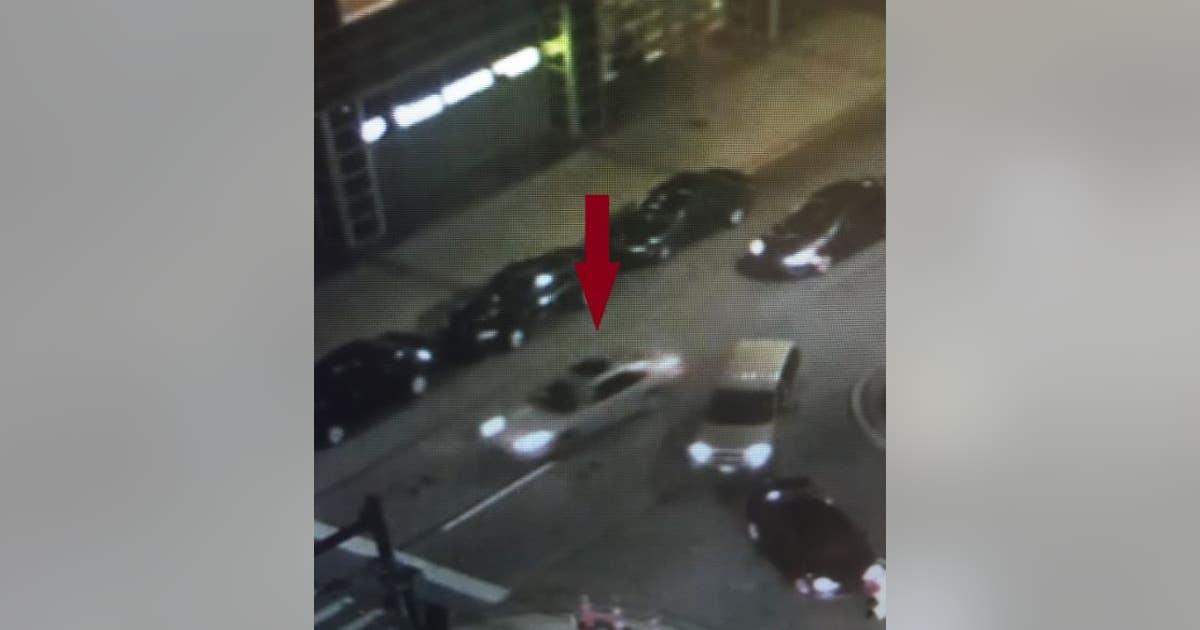 Police searching for suspect in fatal hit-and-run | FOX 2 Detroit
