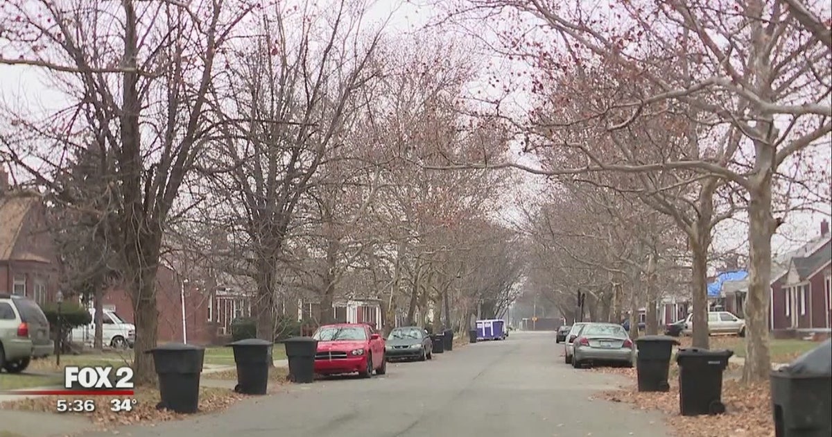 Masked gunmen rob woman arriving home | FOX 2 Detroit