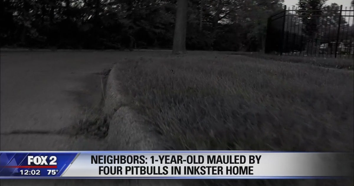 Neighbors: 1 year-old child mauled by pit bulls | FOX 2 Detroit
