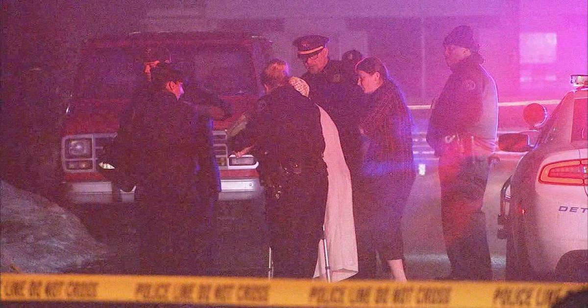 Brothers killed after gunmen ambush family in driveway: police | FOX 2 ...