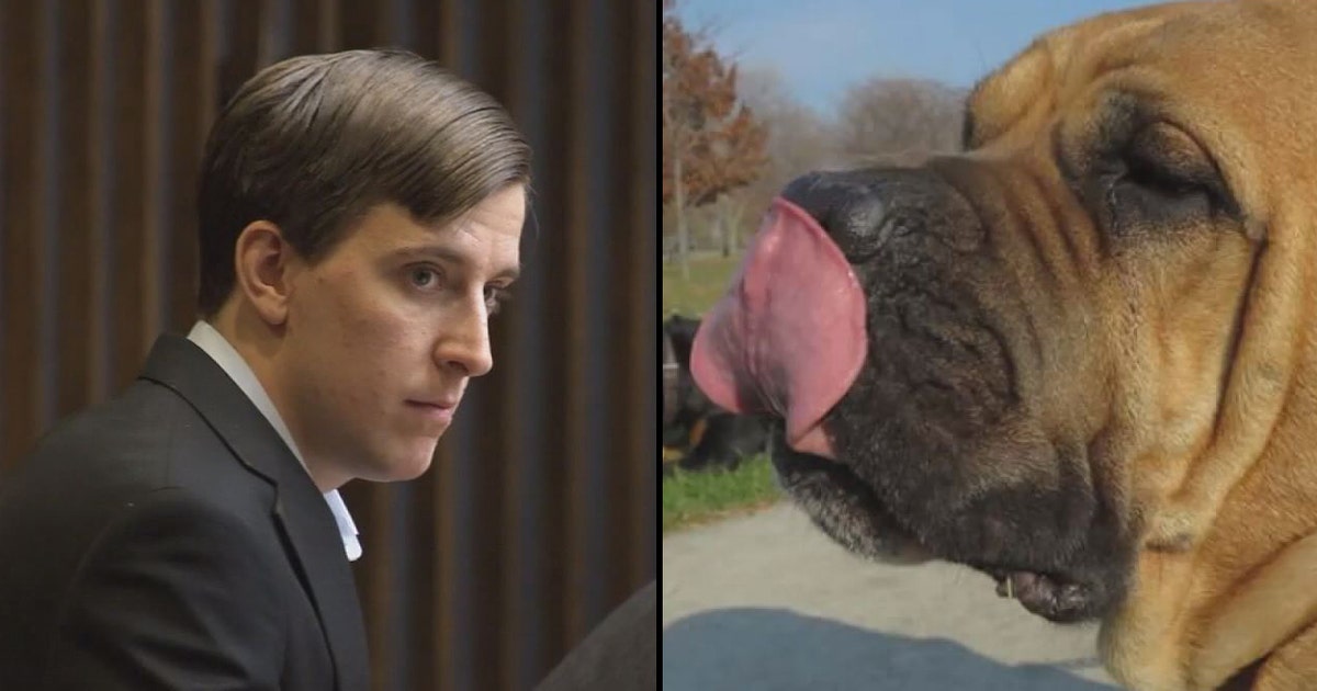 Eastpointe man seen in dog beating video found guilty of animal torture ...
