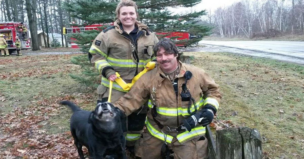 Dog credited for saving elderly owner from housefire | FOX 2 Detroit