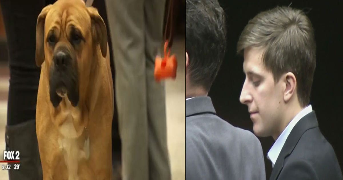 Eastpointe man gets 30 days in jail for animal torture | FOX 2 Detroit