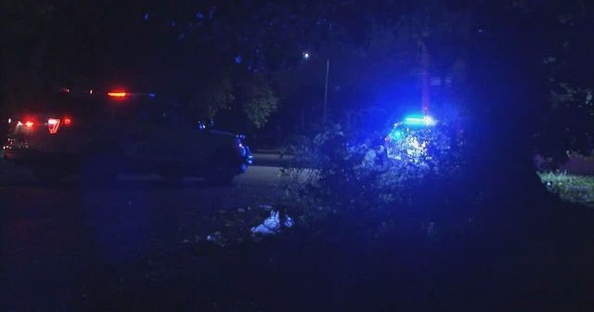 Woman shot 9 times but survives on Detroit's east side | FOX 2 Detroit