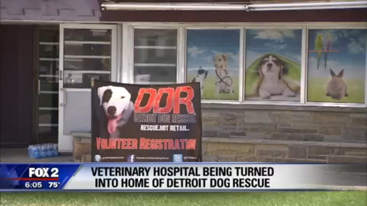 Old veterinary hospital being turned into a new home for the Detroit Dog  Rescue.