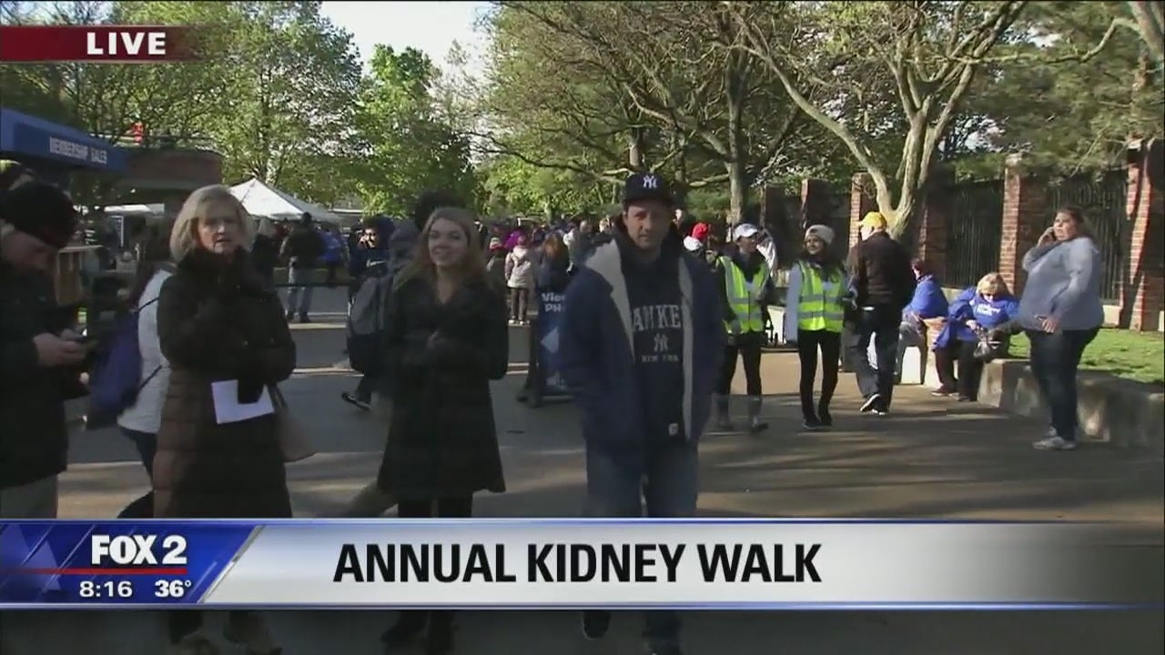 20th Annual Kidney Walk at the Detroit Zoo