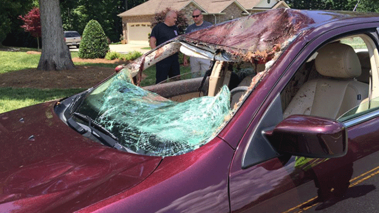 Deer crashes through car's windshield, lands in passenger seat