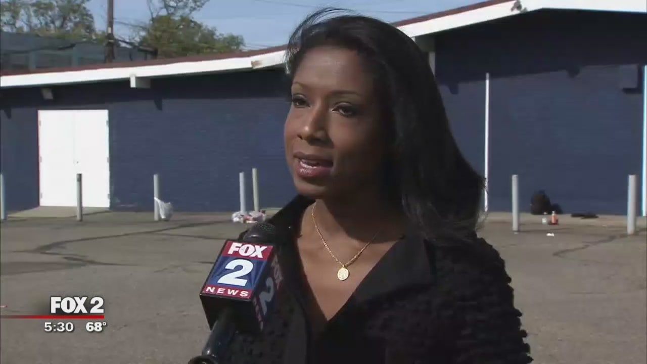 new anchor on fox 2 detroit