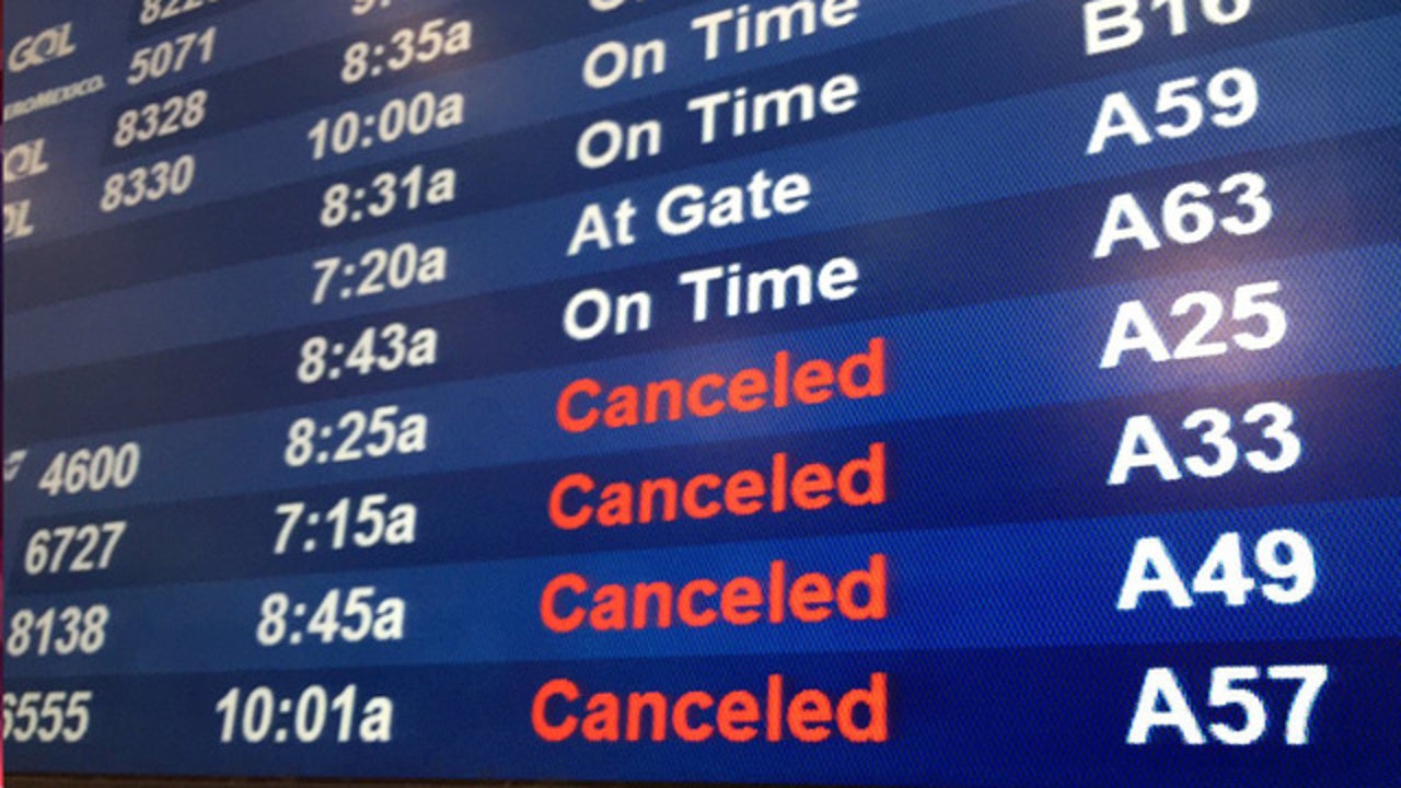 Nor'easter pounds region, affecting many DTW flights