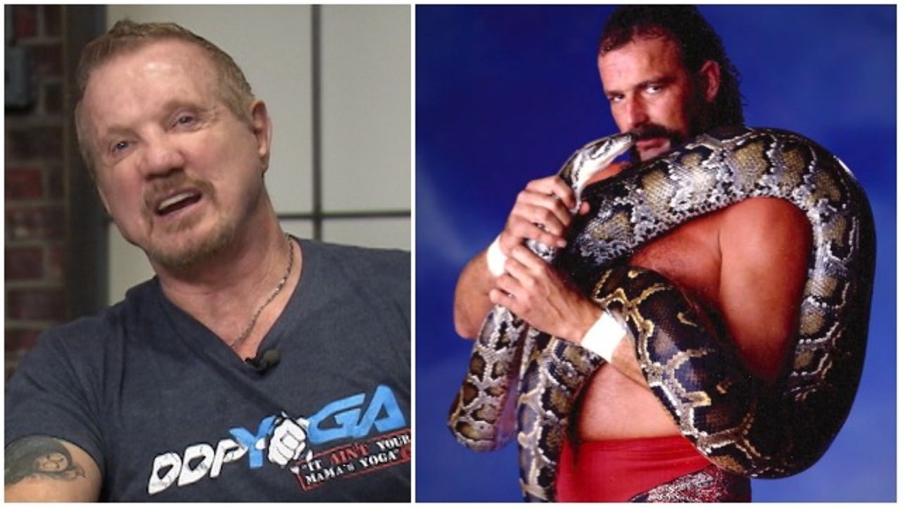 Resurrection of 'Jake The Snake'