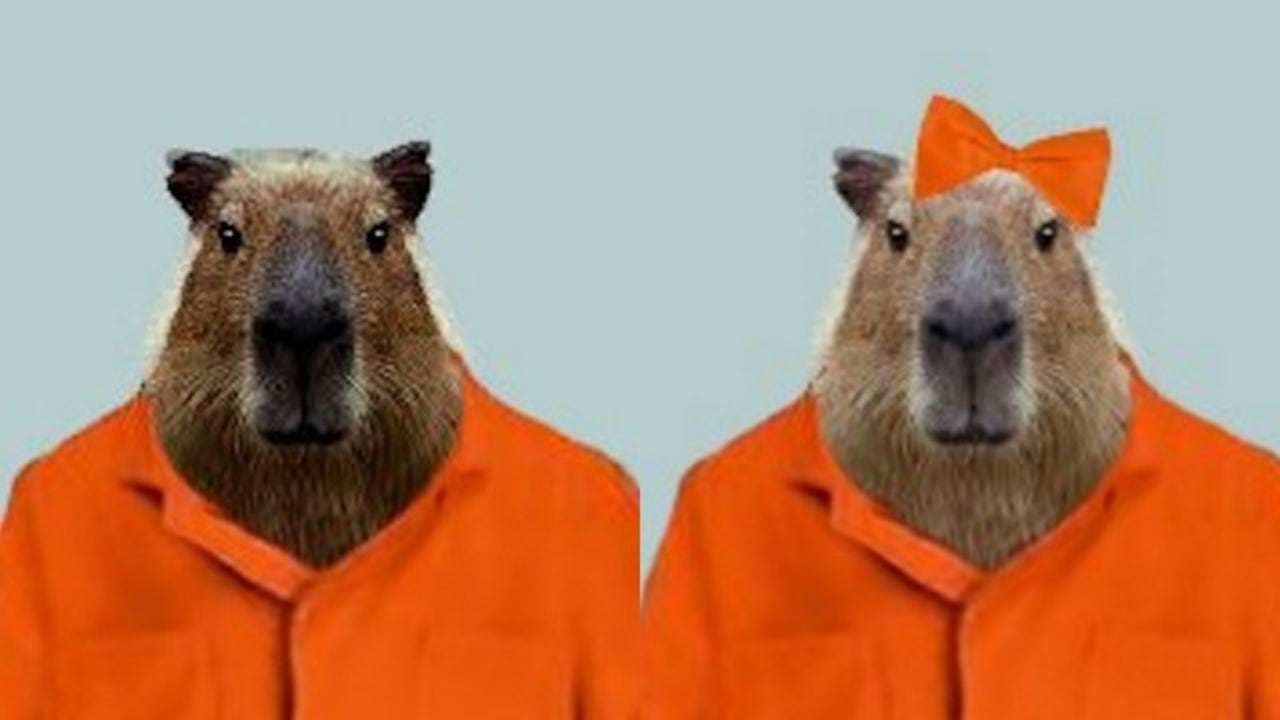 Capybaras on the loose from Toronto zoo | FOX 2 Detroit