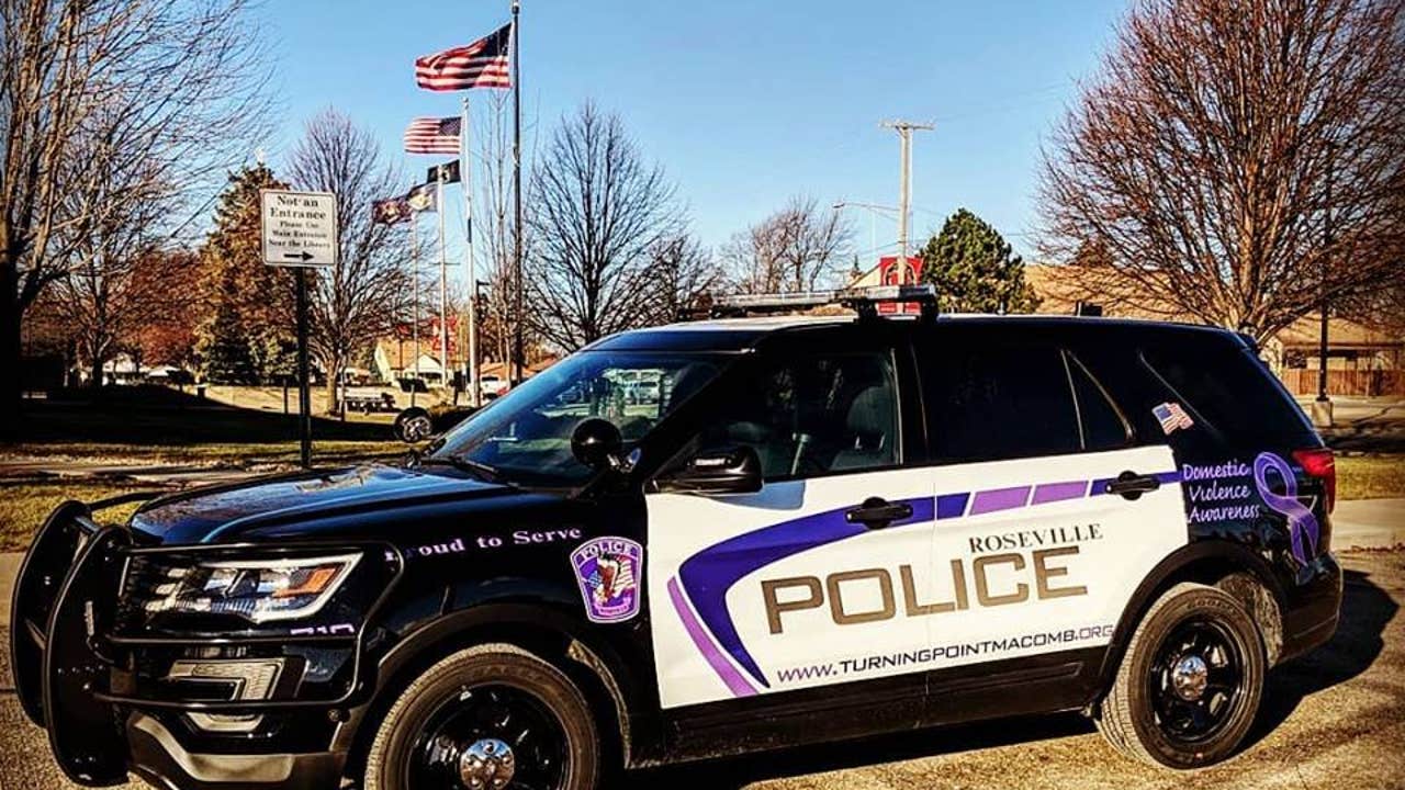 Roseville Police fleet car promotes domestic violence awareness