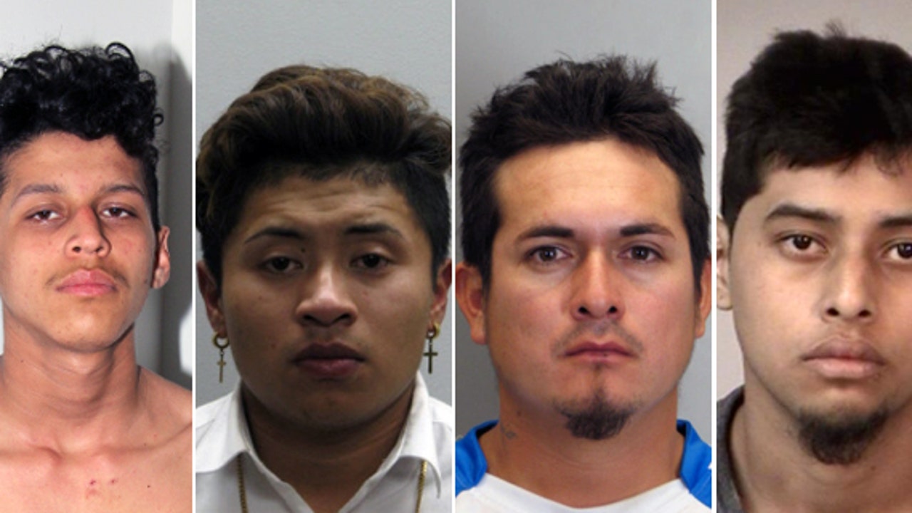 MS13 gang members stabbed victim as many as 100 times, dumped his body