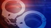 Person of interest arrested in hit-and-run of child in Royal Oak Twp