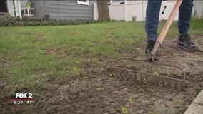 Get your grass growing again with Jill of All Trades