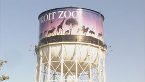 Detroit Zoo-inspired dress pulls from iconic water tower design