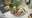 Cooking with Schoolcraft: Mint watermelon lemonade
