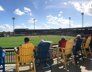Getting the Most Out of Detroit Tigers Spring Training in Lakeland - Travel  Fuels Life Podcast