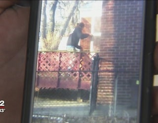 Eastpointe_dog_rescued_after_disturbing__0_20160224221956