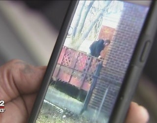 Eastpointe_dog_rescued_after_disturbing__2_20160224221951