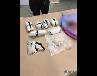 GUNS AND DRUGS ICE RAID_1494605728695.jpg