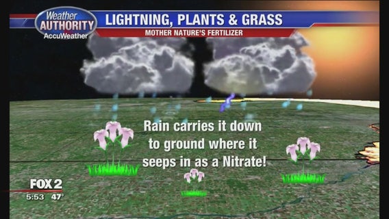 Lightning helps your grass grow. Wait, what?