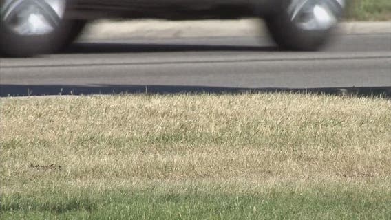 No white Christmas for Detroit: Mostly dry today and tomorrow aside from some drizzle - no snow