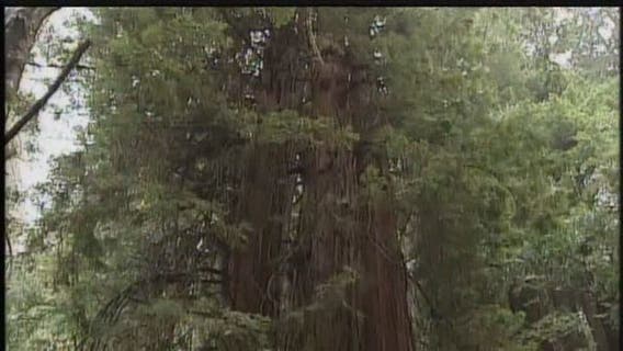 Michigan state parks, recreation areas will stay open during governor 'shelter in place' order