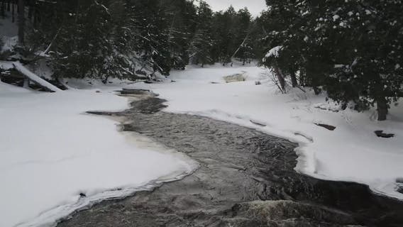 Logging company buys over half a million acres of Upper Peninsula timberland