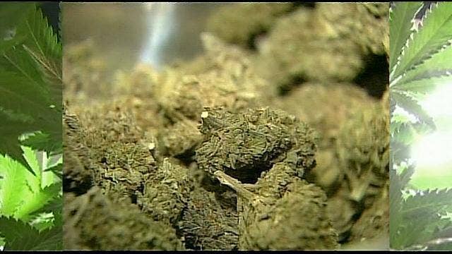 Study: Adult pot use jumps 33% in the last decade