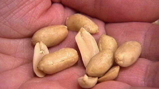 Should babies be given peanuts to reduce the risk of allergies?