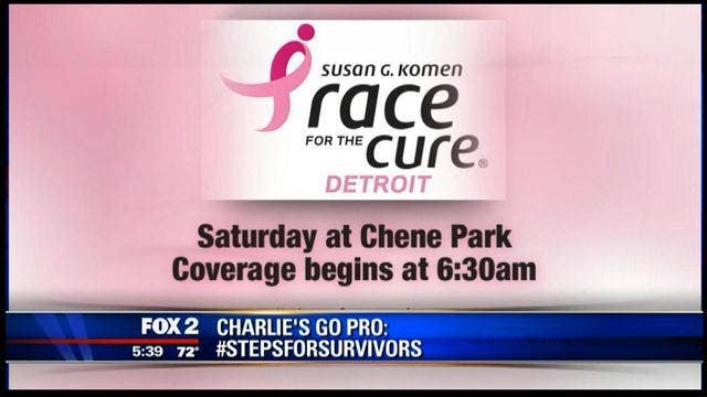 Race for the Cure 101: What you need to know