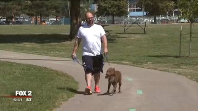 Walking your dog means better health for both of you