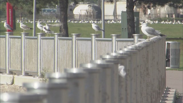 Detroit installing temporary dam to protect Jefferson-Chalmers from flooding