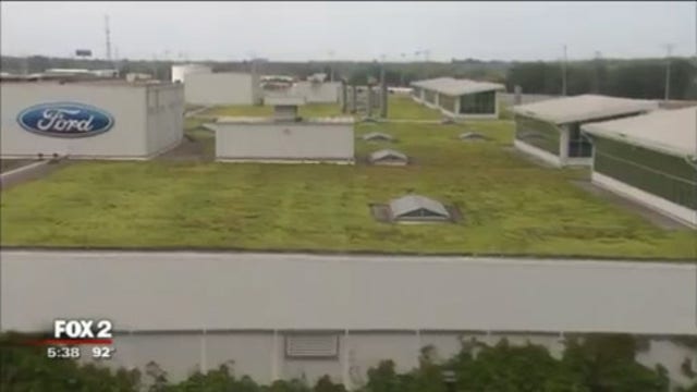Ford Rouge Factory has one of largest living roofs in world