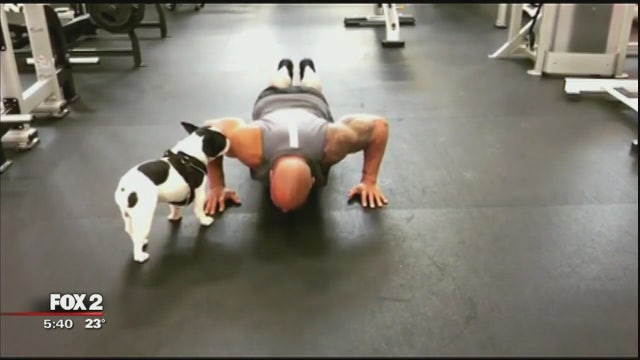 A new study says the more push ups you can do, the lower your risk for heart disease