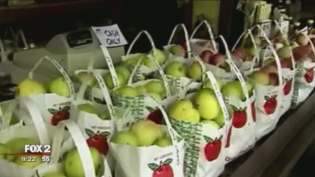 Does an apple a day really keep the doctor away?